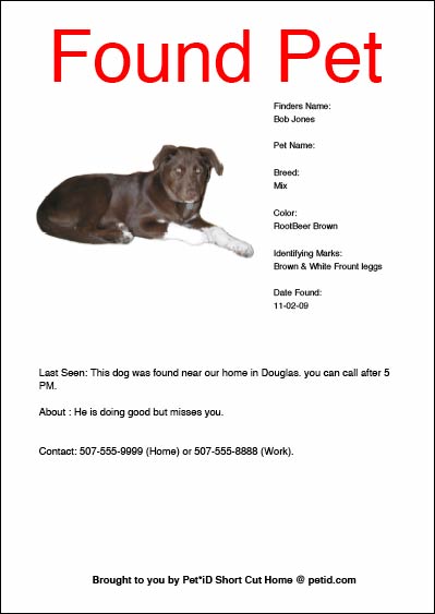 found dog flyer